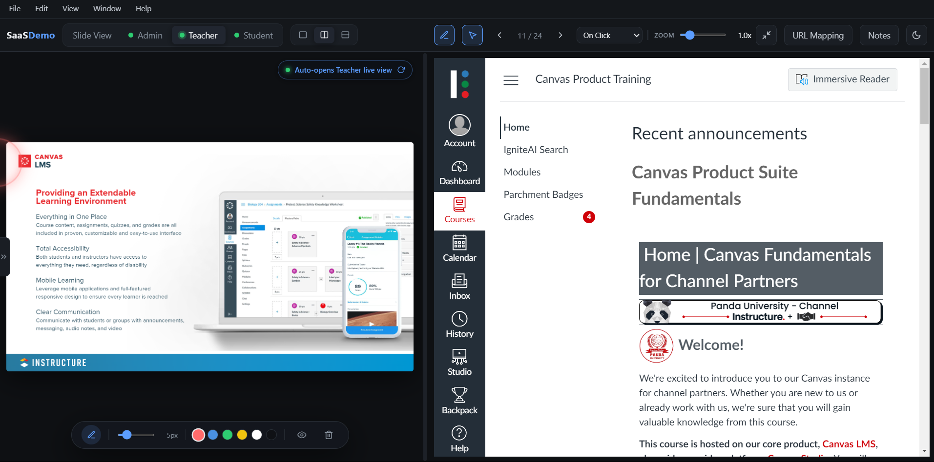 SaaS Demo Interface